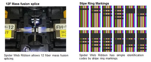 Splicing of 12 fibres from a ribbon cable at the same time