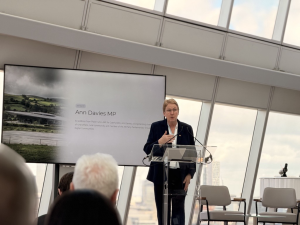 INCA Ann Davies MP, at Better Fibre Live